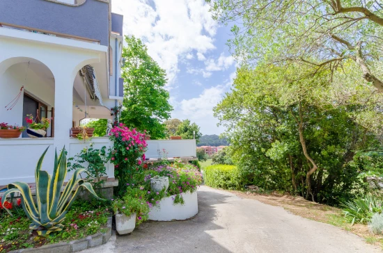 Apartmán Ostrov Rab - Palit OS 9840 N1