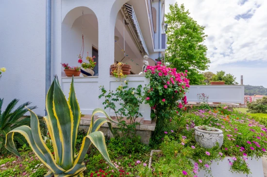 Apartmán Ostrov Rab - Palit OS 9840 N1