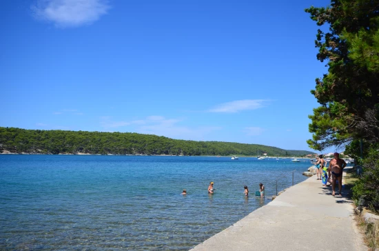 Apartmán Ostrov Rab - Palit OS 9840 N1