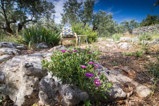 Domek Ostrov Pašman - Pašman OS 9846 N1