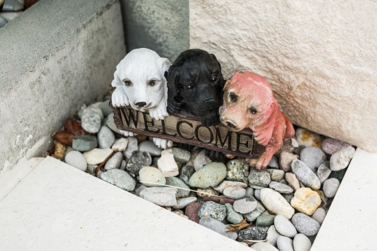 Domek Severní Dalmácie - Kanica DA 7813 N1