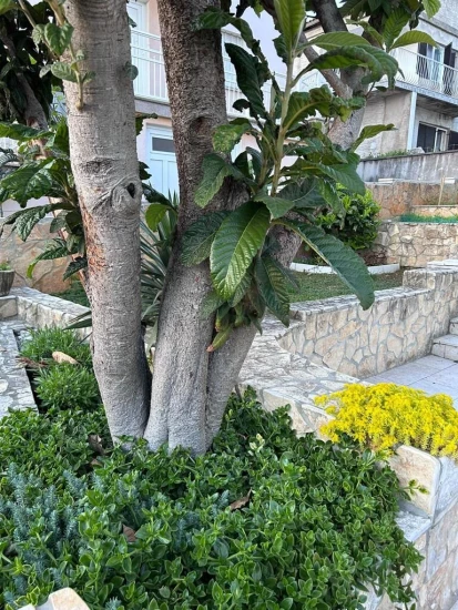 Apartmán Kvarner - Selce KV 7375 N1