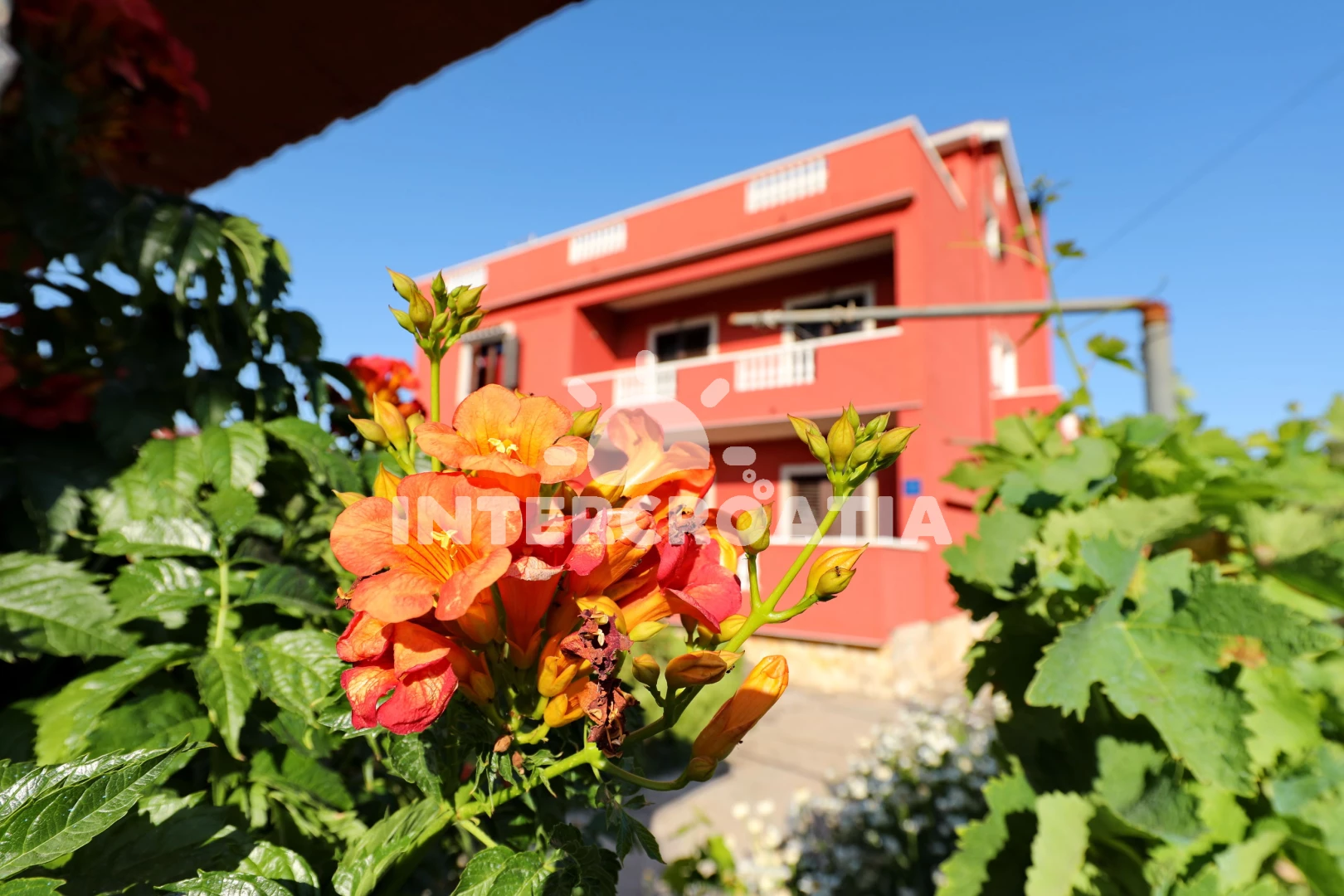 Apartmán Ostrov Pašman - Mrljane OS 9858 N3