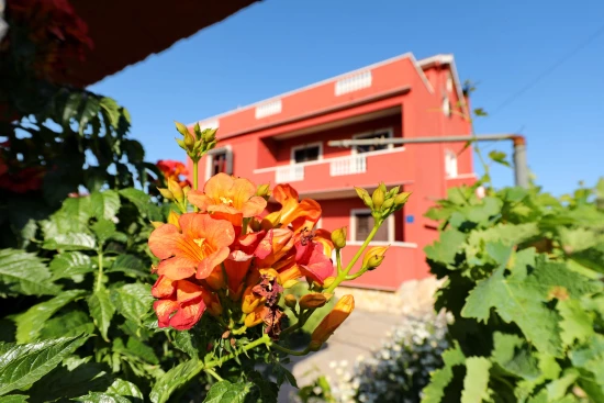 Apartmán Ostrov Pašman - Mrljane OS 9858 N4