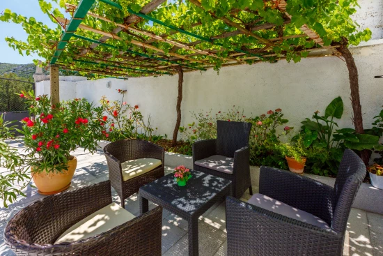 Domek Kvarner - Drivenik (Crikvenica) KV 7382 N1