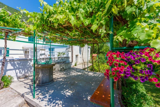 Domek Kvarner - Drivenik (Crikvenica) KV 7382 N1