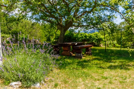 Domek Kvarner - Drivenik (Crikvenica) KV 7382 N1