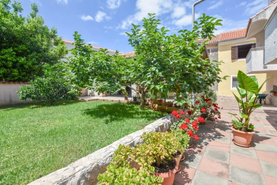 Apartmán Ostrov Pašman - Pašman OS 9870 N3