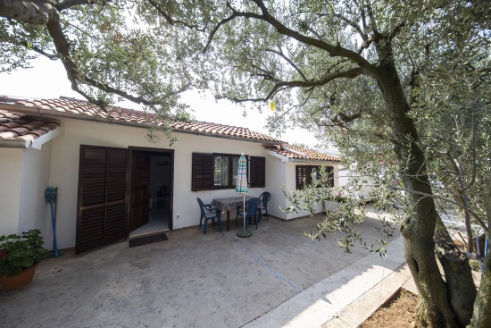 Apartmán Severní Dalmácie - Zadar DA 7831 N1