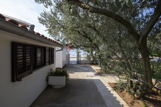 Apartmán Severní Dalmácie - Zadar DA 7831 N1