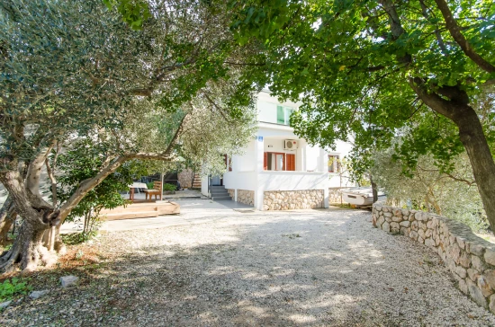 Domek Severní Dalmácie - Starigrad Paklenica DA 7837 N1