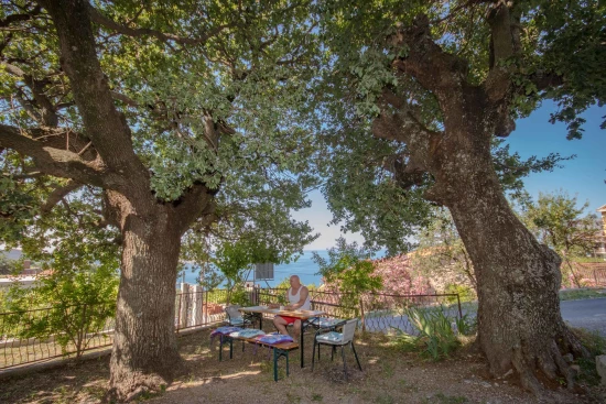 Apartmán Černá Hora - Šušanj (Bar) CH 7048 N1