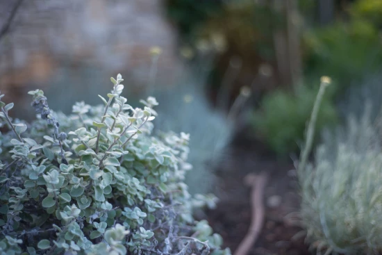 Apartmán Ostrov Murter - Murter OS 9876 N1