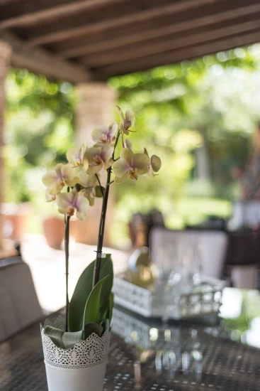 Apartmán Ostrov Murter - Murter OS 9876 N1