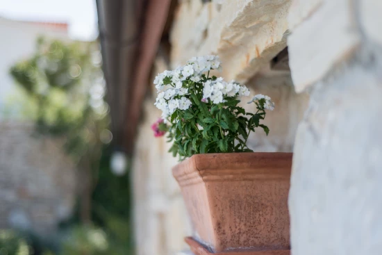 Apartmán Ostrov Murter - Murter OS 9876 N2