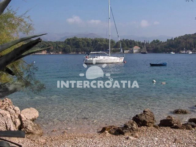 Apartmán Ostrov Koločep - Koločep OS 9878 N1