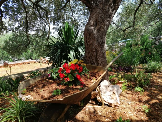 Apartmán Ostrov Hvar - Gdinj OS 9887 N3