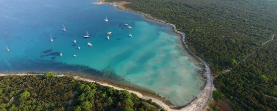 Apartmán Ostrov Olib - Olib OS 9888 N2