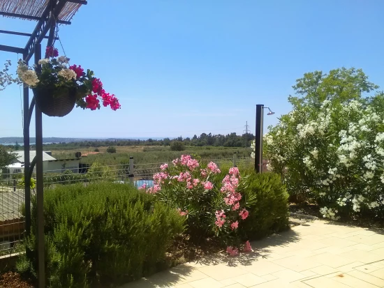 Vila Istrie - Novigrad IS 7090 N1