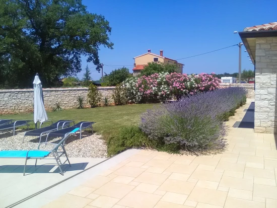 Vila Istrie - Novigrad IS 7090 N1