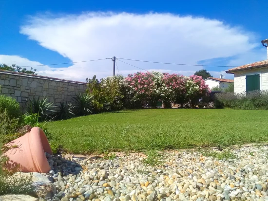 Vila Istrie - Novigrad IS 7090 N1