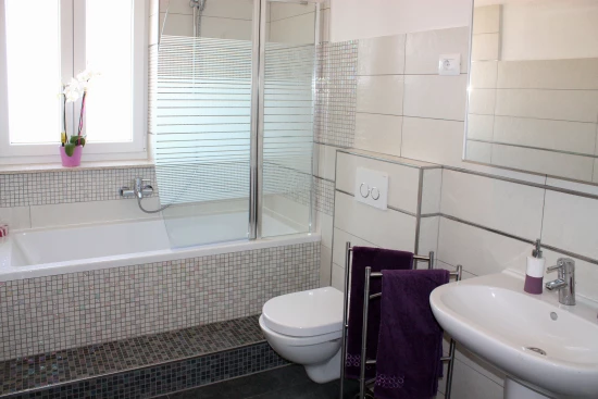 Vila Istrie - Novigrad IS 7090 N1