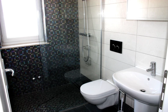 Vila Istrie - Novigrad IS 7090 N1