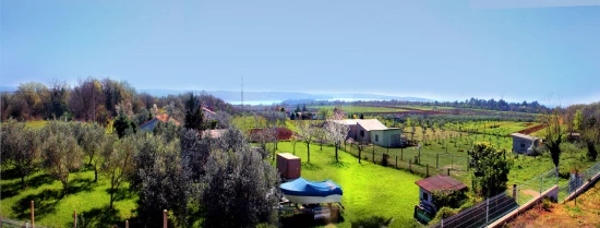 Vila Istrie - Novigrad IS 7090 N1