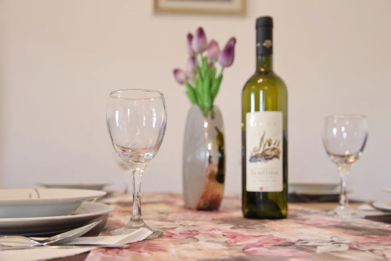 Apartmán Ostrov Ugljan - Preko OS 9890 N1