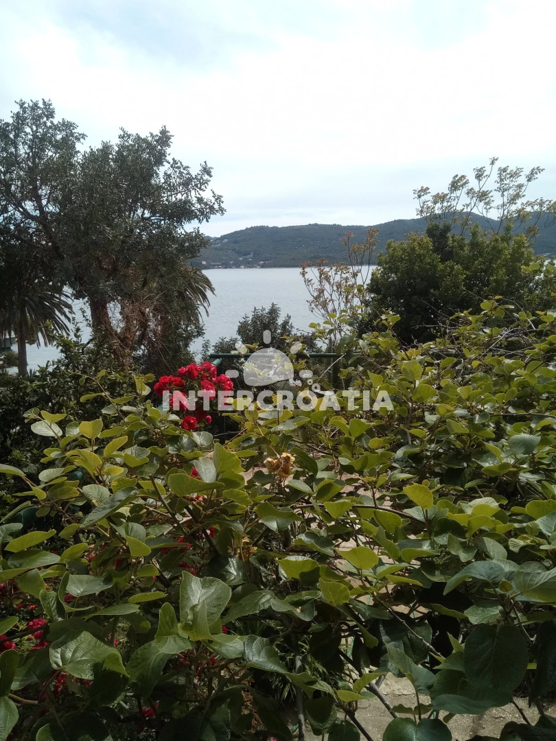 Apartmán Jižní Dalmácie - Kućište (Orebić) DA 7849 N1