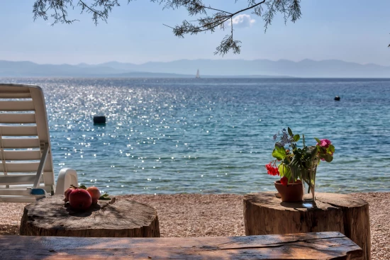 Apartmán Ostrov Hvar - Bogomolje OS 9901 N3