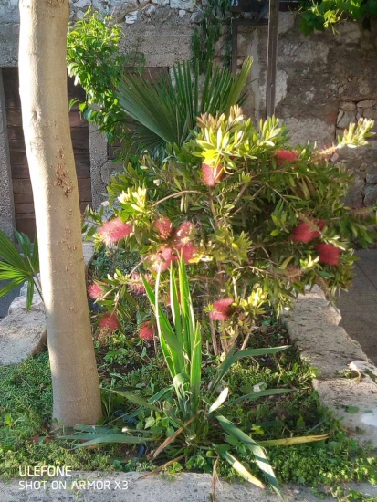 Domek Kvarner - Tribalj (Crikvenica) KV 7390 N1