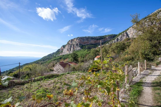 Domek Střední Dalmácie - Tučepi DA 7855 N1