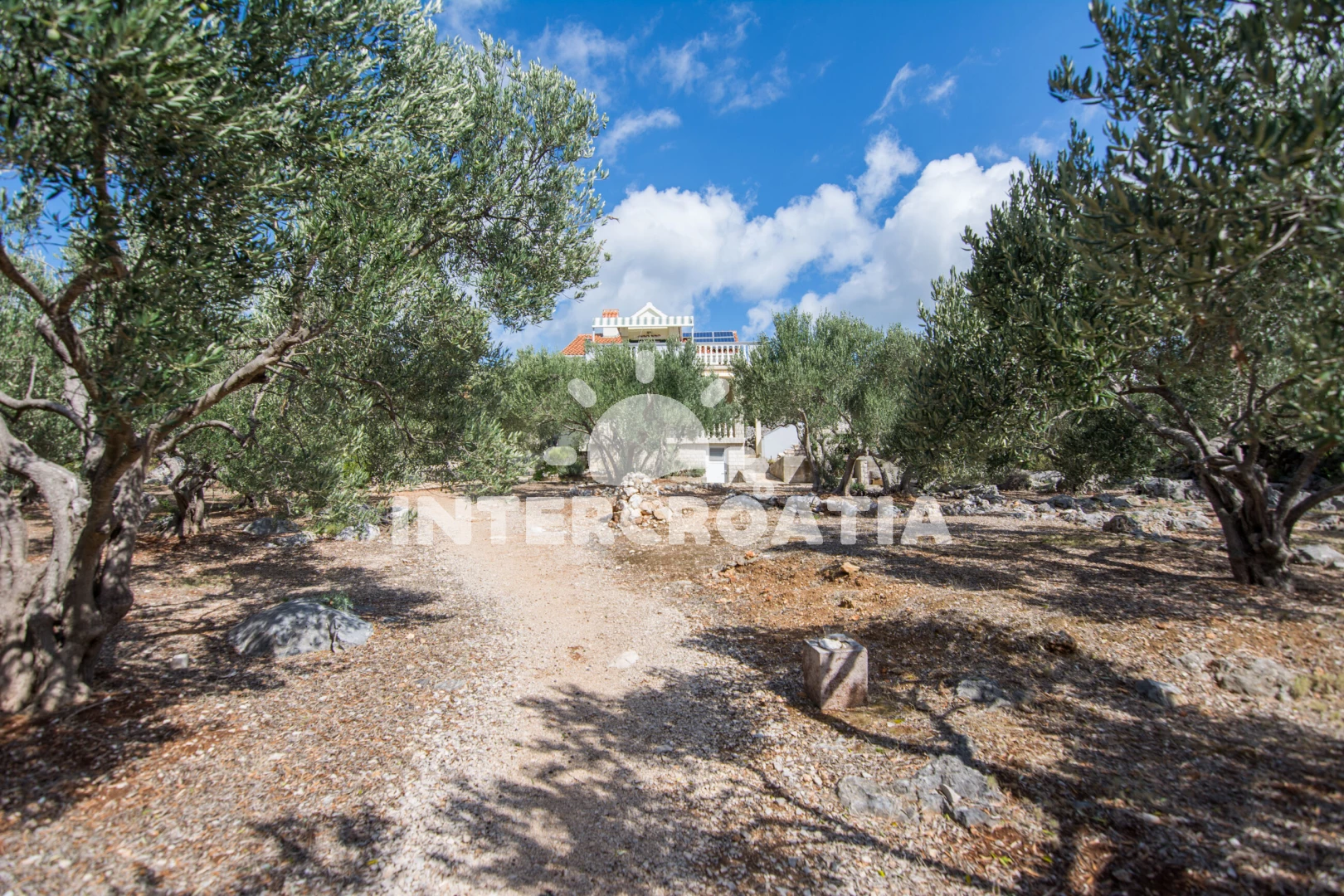 Domek Ostrov Pašman - Ždrelac OS 9911 N1