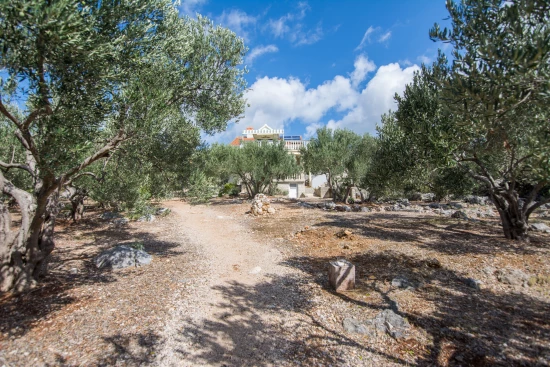 Domek Ostrov Pašman - Ždrelac OS 9911 N1