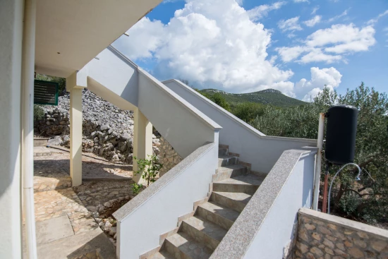 Domek Ostrov Pašman - Ždrelac OS 9911 N1