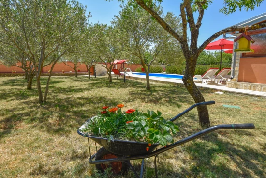 Vila Severní Dalmácie - Lisičić DA 7873 N1