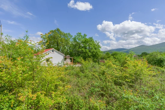 Domek Střední Dalmácie - Krivodol DA 7887 N1