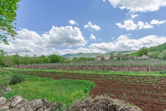 Domek Střední Dalmácie - Krivodol DA 7887 N1