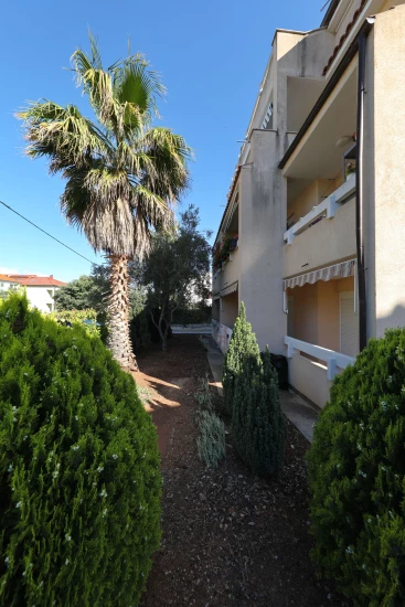 Apartmán Severní Dalmácie - Sveti Filip i Jakov (Biograd) DA 7896 N1