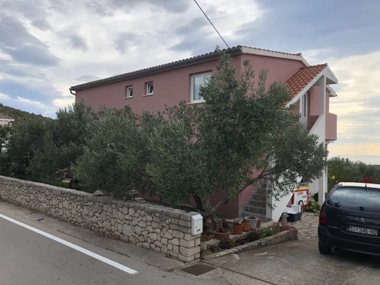 Apartmán Severní Dalmácie - Primošten DA 7902 N1