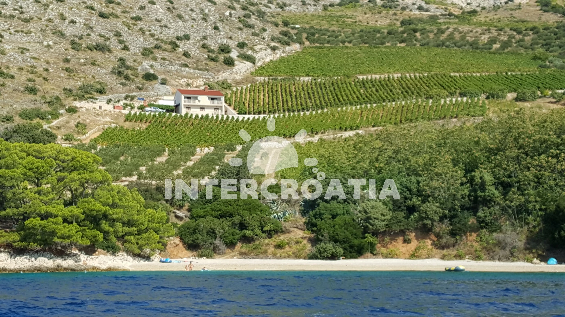 Domek Ostrov Brač - Nerežišća OS 9930 N1