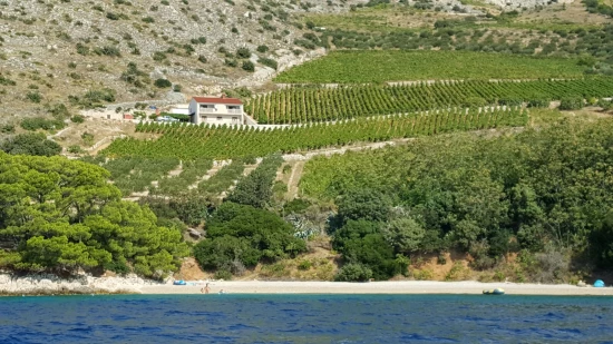 Domek Ostrov Brač - Nerežišća OS 9930 N1