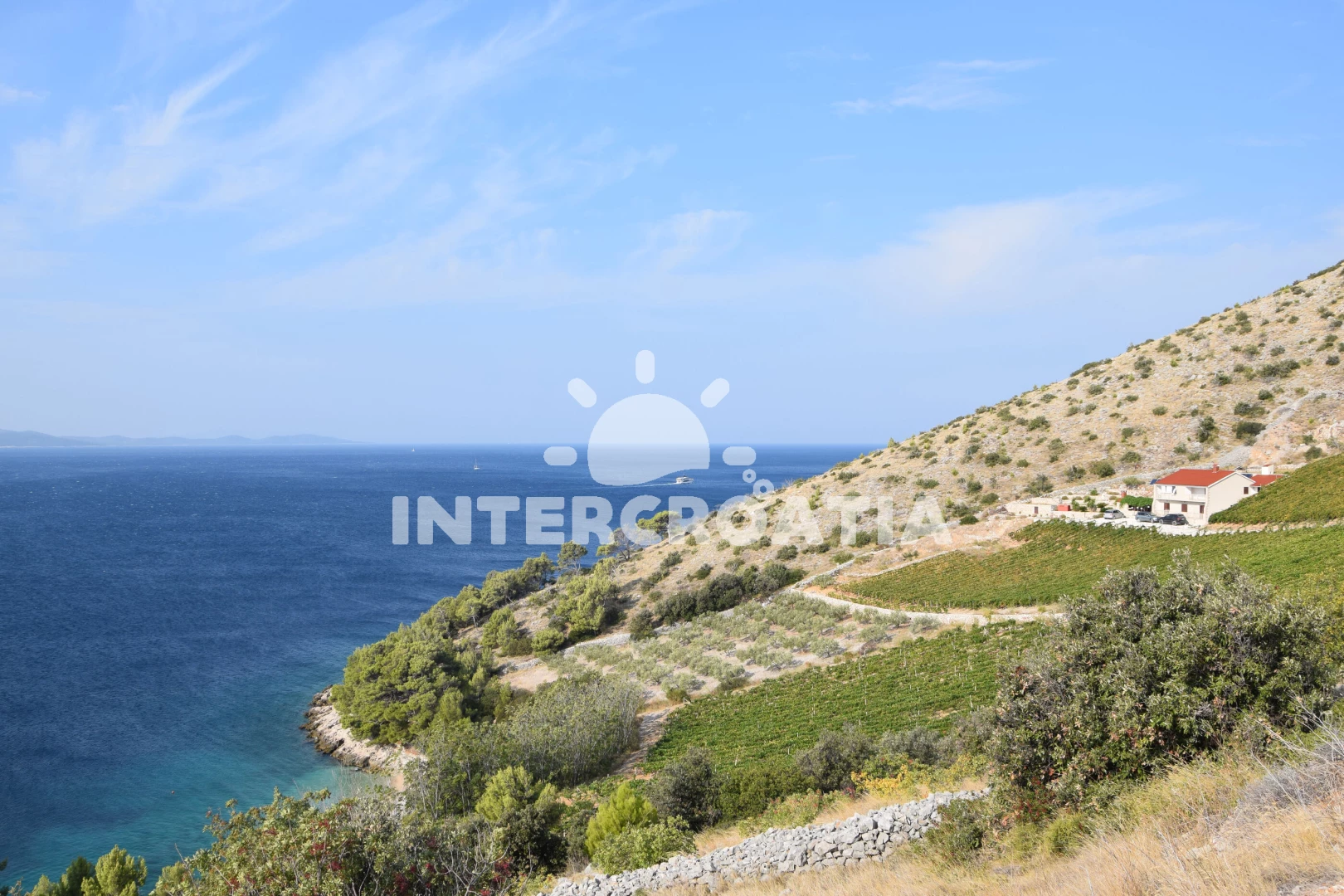 Domek Ostrov Brač - Nerežišća OS 9930 N1