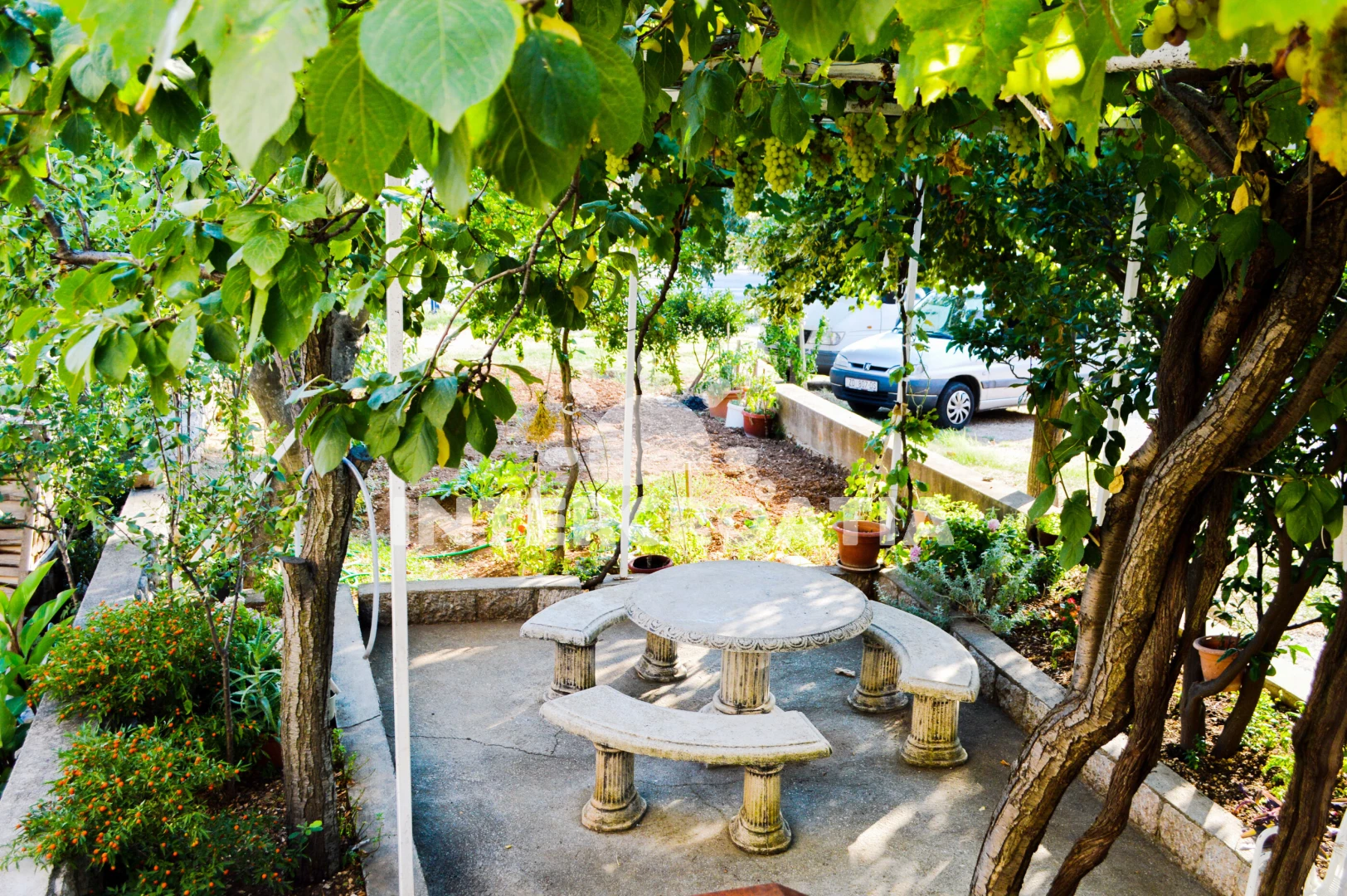 Apartmán Severní Dalmácie - Starigrad Paklenica DA 7908 N1