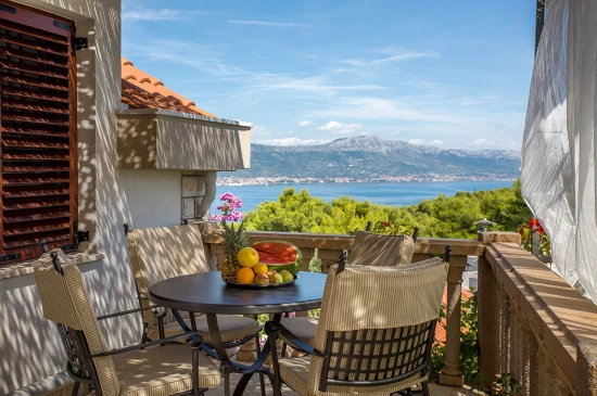 Vila Střední Dalmácie - Arbanija (Čiovo) DA 7927 N1