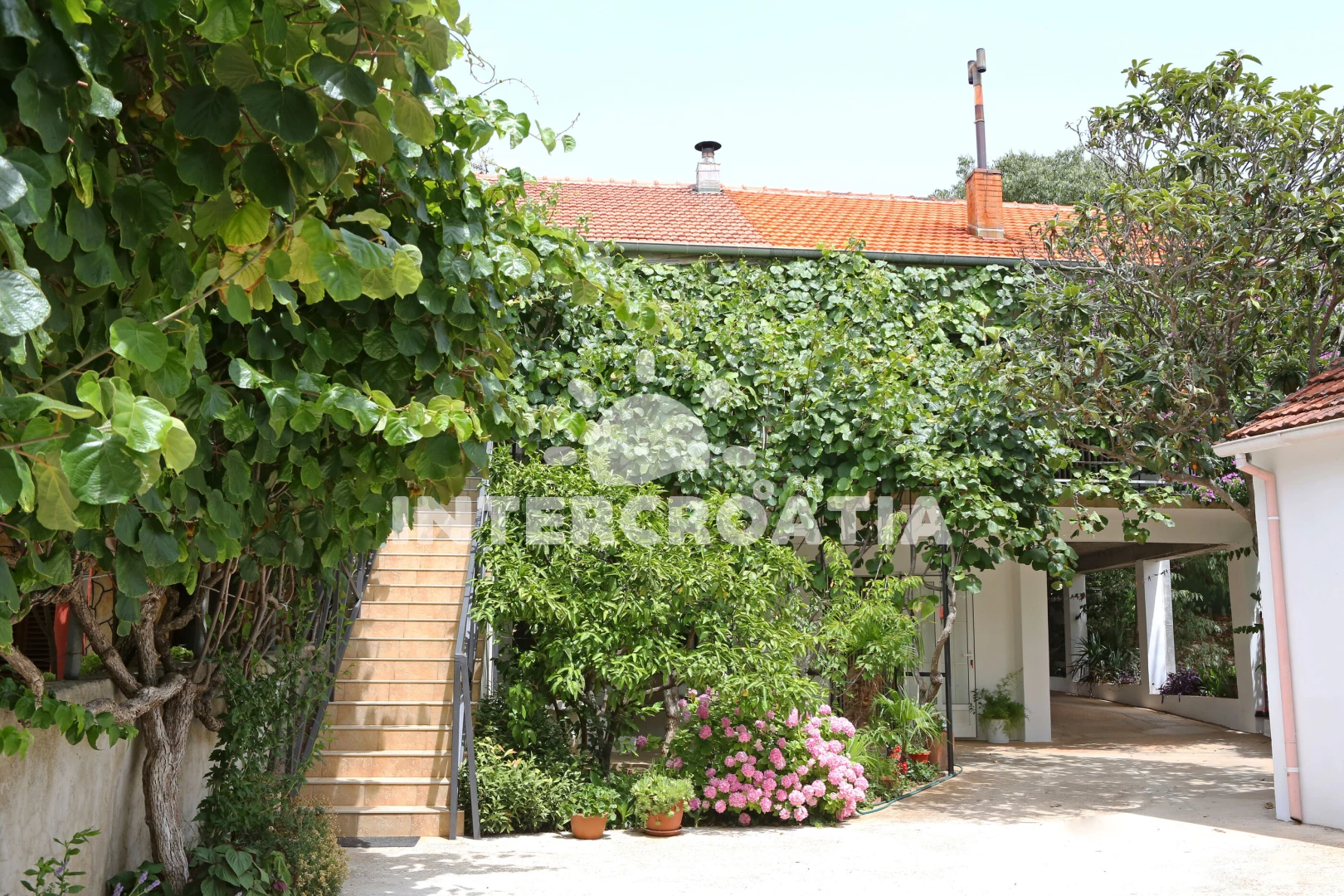 Apartmán Severní Dalmácie - Bibinje DA 7930 N1