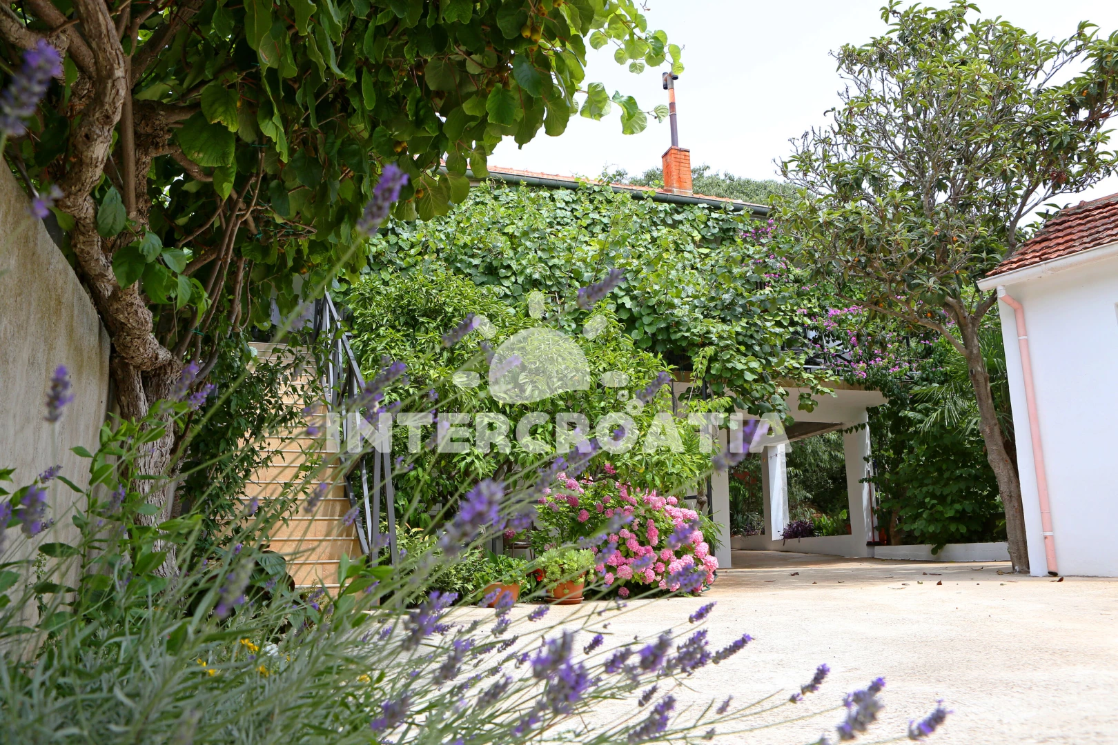 Apartmán Severní Dalmácie - Bibinje DA 7930 N1