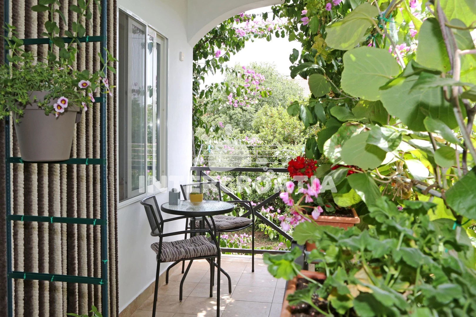 Apartmán Severní Dalmácie - Bibinje DA 7930 N1