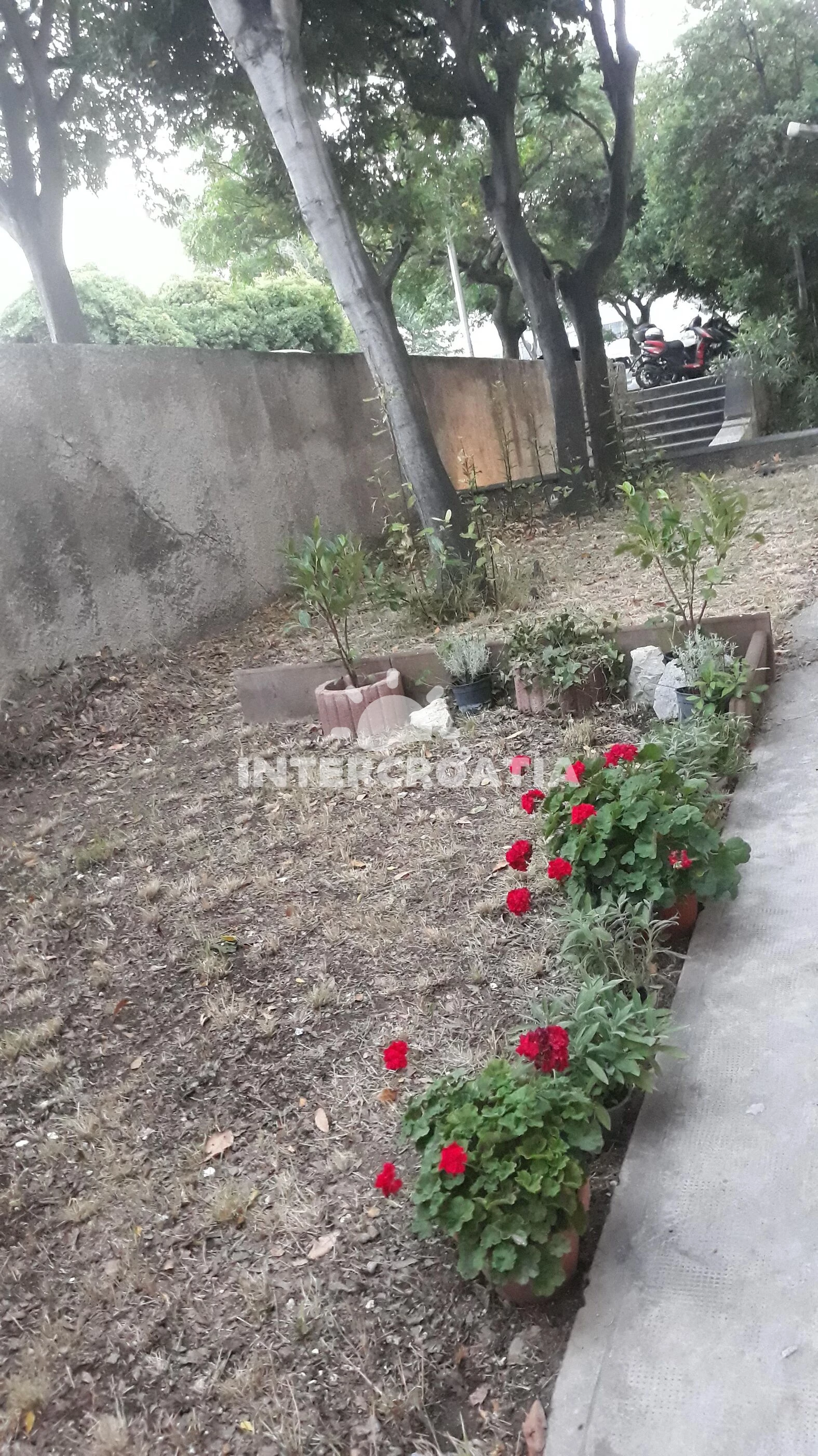 Apartmán Střední Dalmácie - Split DA 7934 N1